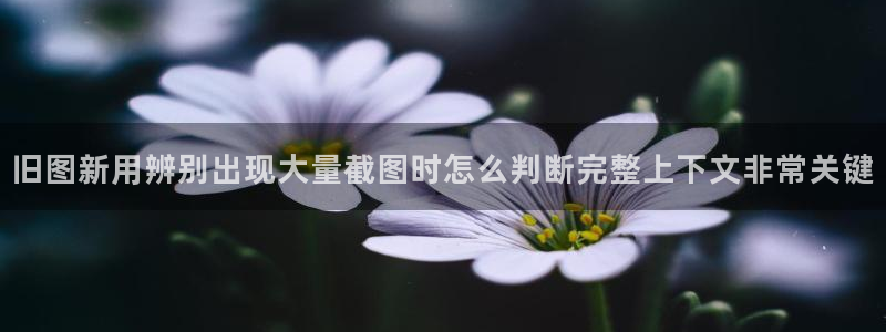 吃瓜入口