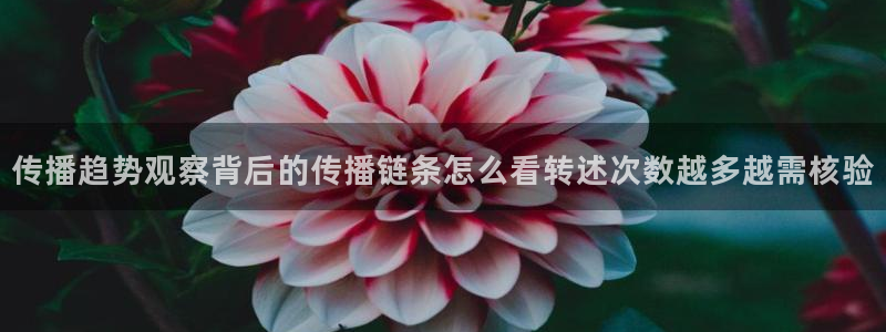 吃瓜爆料网站