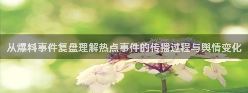 每日吃瓜热点:从爆料事件复盘理解热点事件的传播过程与舆情变化