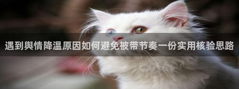 今日吃瓜热点