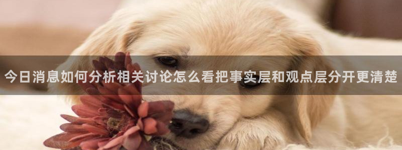 51吃瓜最新入口